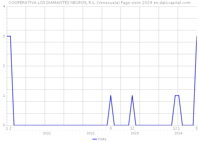 COOPERATIVA LOS DIAMANTES NEGROS, R.L. (Venezuela) Page visits 2024 