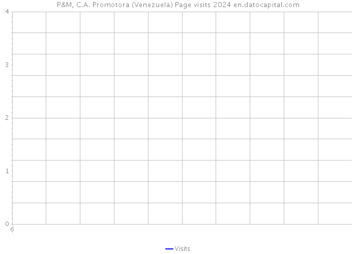P&M, C.A. Promotora (Venezuela) Page visits 2024 