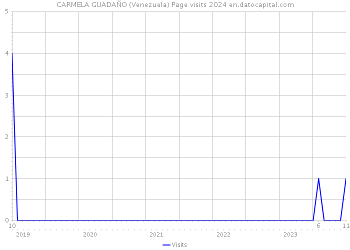 CARMELA GUADAÑO (Venezuela) Page visits 2024 