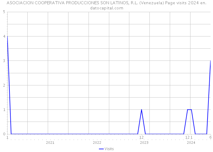 ASOCIACION COOPERATIVA PRODUCCIONES SON LATINOS, R.L. (Venezuela) Page visits 2024 