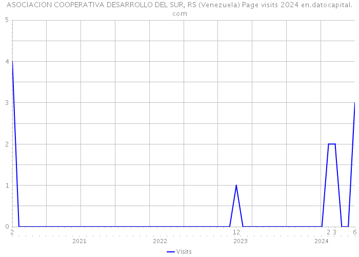 ASOCIACION COOPERATIVA DESARROLLO DEL SUR, RS (Venezuela) Page visits 2024 