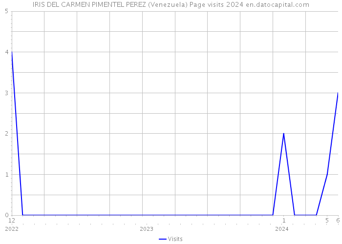 IRIS DEL CARMEN PIMENTEL PEREZ (Venezuela) Page visits 2024 