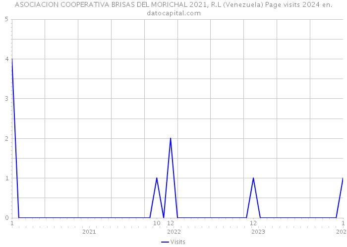 ASOCIACION COOPERATIVA BRISAS DEL MORICHAL 2021, R.L (Venezuela) Page visits 2024 