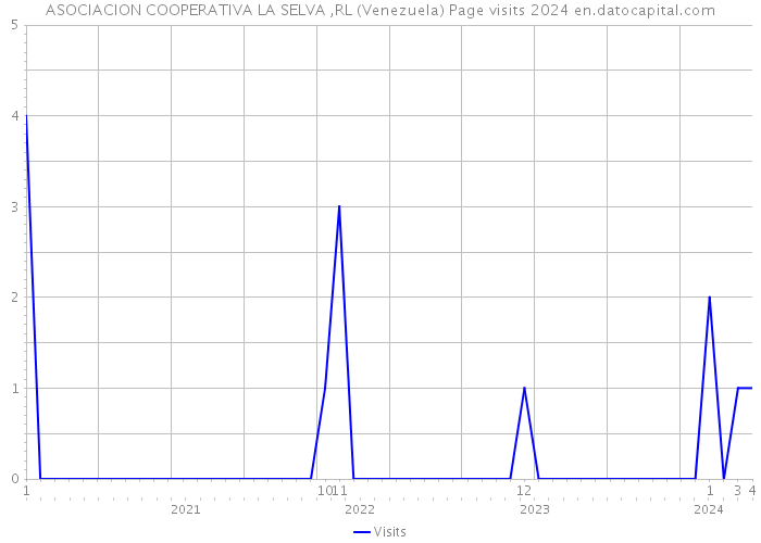 ASOCIACION COOPERATIVA LA SELVA ,RL (Venezuela) Page visits 2024 