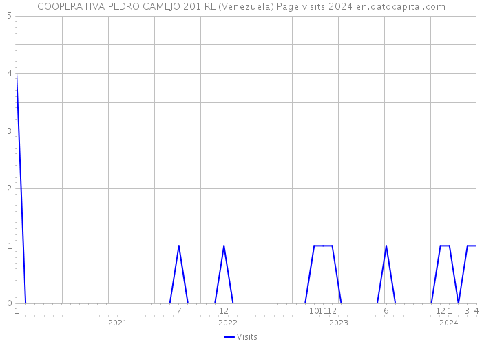 COOPERATIVA PEDRO CAMEJO 201 RL (Venezuela) Page visits 2024 