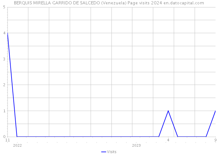 BERQUIS MIRELLA GARRIDO DE SALCEDO (Venezuela) Page visits 2024 