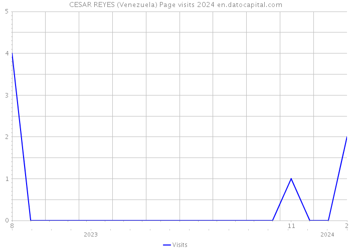 CESAR REYES (Venezuela) Page visits 2024 