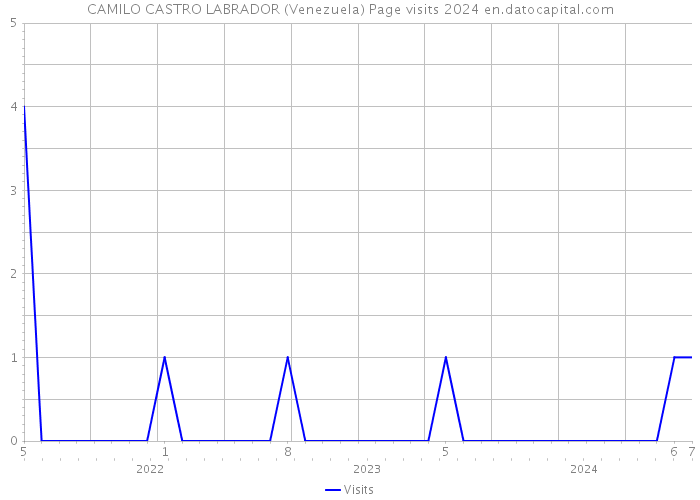 CAMILO CASTRO LABRADOR (Venezuela) Page visits 2024 