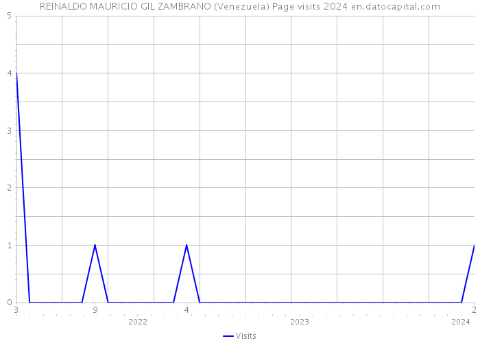 REINALDO MAURICIO GIL ZAMBRANO (Venezuela) Page visits 2024 