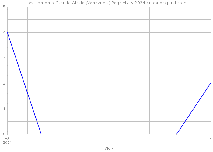 Levit Antonio Castillo Alcala (Venezuela) Page visits 2024 