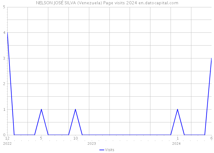 NELSON JOSÉ SILVA (Venezuela) Page visits 2024 