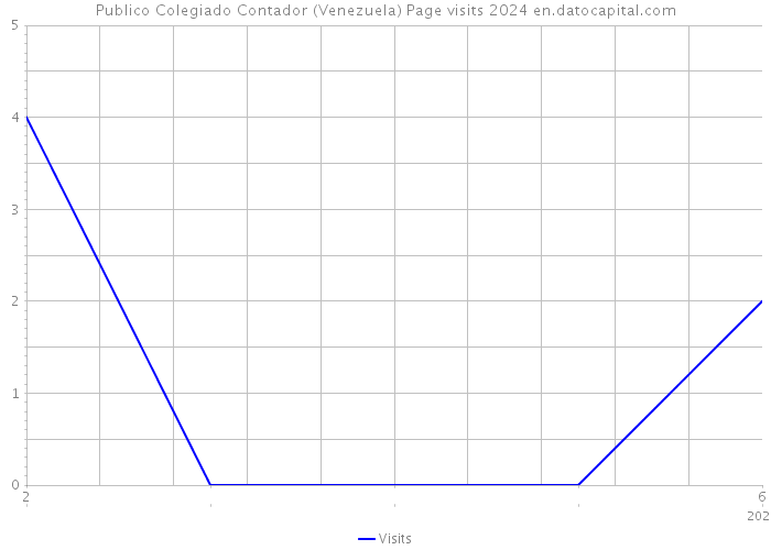 Publico Colegiado Contador (Venezuela) Page visits 2024 