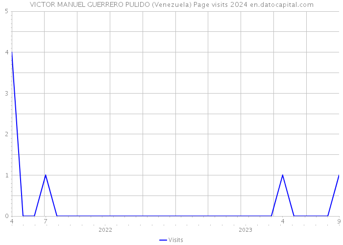 VICTOR MANUEL GUERRERO PULIDO (Venezuela) Page visits 2024 
