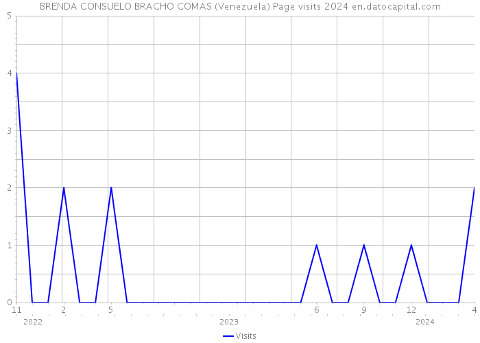 BRENDA CONSUELO BRACHO COMAS (Venezuela) Page visits 2024 