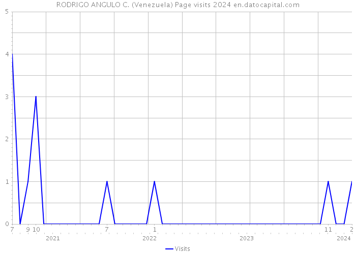 RODRIGO ANGULO C. (Venezuela) Page visits 2024 