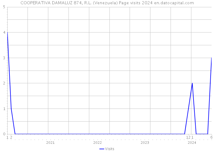COOPERATIVA DAMALUZ 874, R.L. (Venezuela) Page visits 2024 