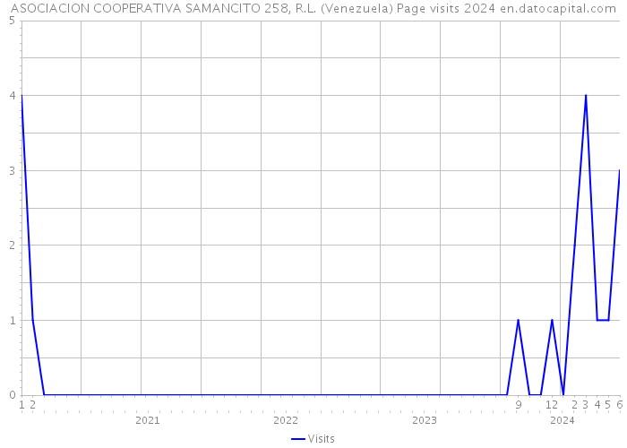 ASOCIACION COOPERATIVA SAMANCITO 258, R.L. (Venezuela) Page visits 2024 