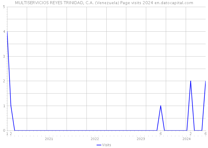 MULTISERVICIOS REYES TRINIDAD, C.A. (Venezuela) Page visits 2024 