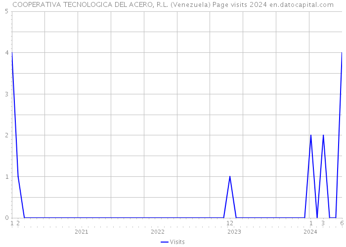 COOPERATIVA TECNOLOGICA DEL ACERO, R.L. (Venezuela) Page visits 2024 
