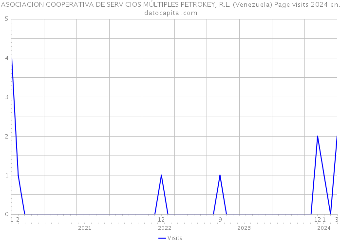 ASOCIACION COOPERATIVA DE SERVICIOS MÚLTIPLES PETROKEY, R.L. (Venezuela) Page visits 2024 