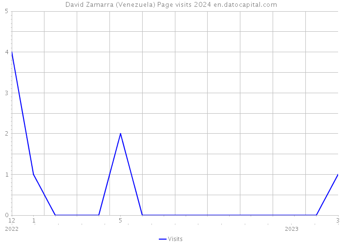 David Zamarra (Venezuela) Page visits 2024 