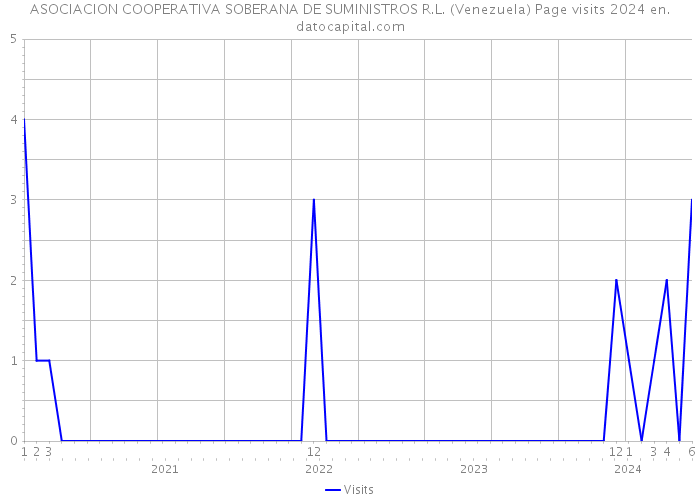 ASOCIACION COOPERATIVA SOBERANA DE SUMINISTROS R.L. (Venezuela) Page visits 2024 