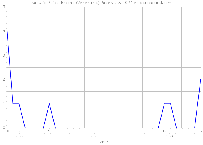 Ranulfo Rafael Bracho (Venezuela) Page visits 2024 