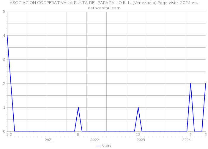 ASOCIACION COOPERATIVA LA PUNTA DEL PAPAGALLO R. L. (Venezuela) Page visits 2024 