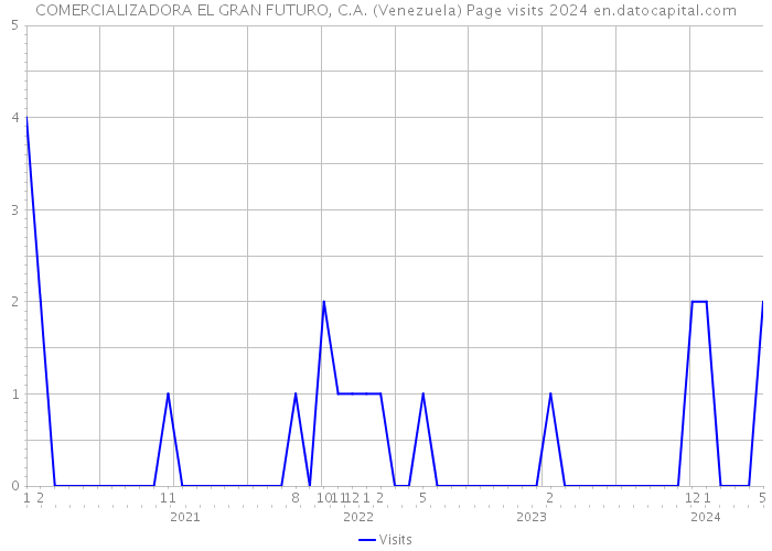 COMERCIALIZADORA EL GRAN FUTURO, C.A. (Venezuela) Page visits 2024 