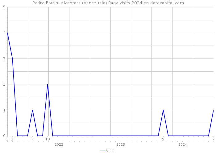 Pedro Bottini Alcantara (Venezuela) Page visits 2024 