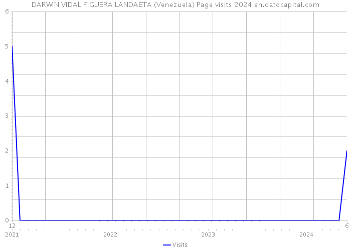 DARWIN VIDAL FIGUERA LANDAETA (Venezuela) Page visits 2024 