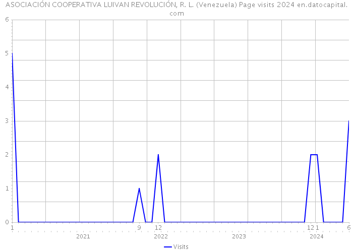ASOCIACIÓN COOPERATIVA LUIVAN REVOLUCIÓN, R. L. (Venezuela) Page visits 2024 