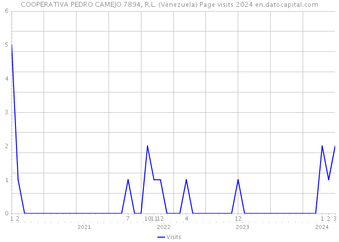 COOPERATIVA PEDRO CAMEJO 7894, R.L. (Venezuela) Page visits 2024 