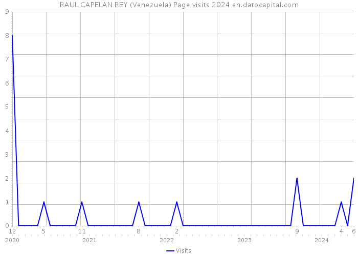 RAUL CAPELAN REY (Venezuela) Page visits 2024 
