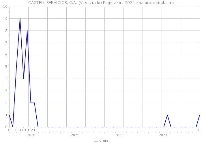 CASTELL SERVICIOS, C.A. (Venezuela) Page visits 2024 