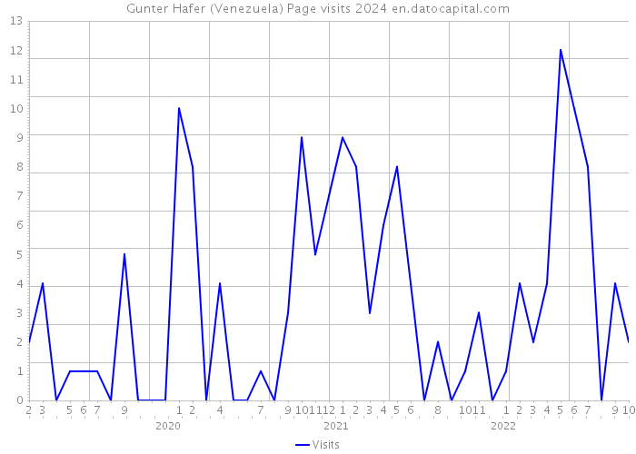 Gunter Hafer (Venezuela) Page visits 2024 