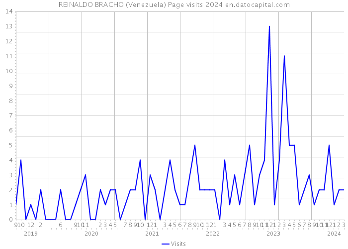 REINALDO BRACHO (Venezuela) Page visits 2024 