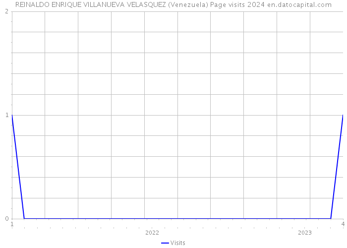 REINALDO ENRIQUE VILLANUEVA VELASQUEZ (Venezuela) Page visits 2024 