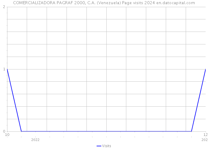 COMERCIALIZADORA PAGRAF 2000, C.A. (Venezuela) Page visits 2024 