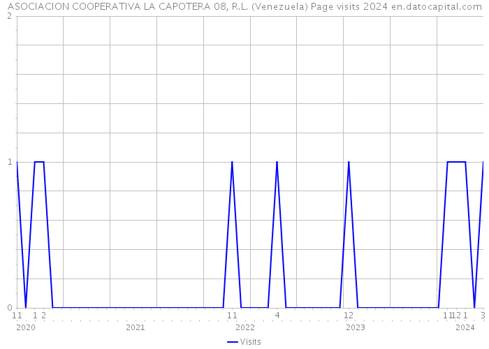ASOCIACION COOPERATIVA LA CAPOTERA 08, R.L. (Venezuela) Page visits 2024 