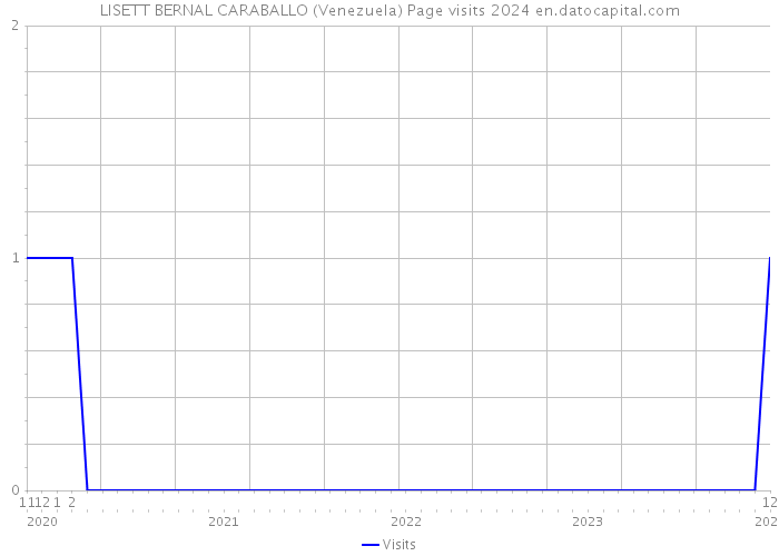 LISETT BERNAL CARABALLO (Venezuela) Page visits 2024 