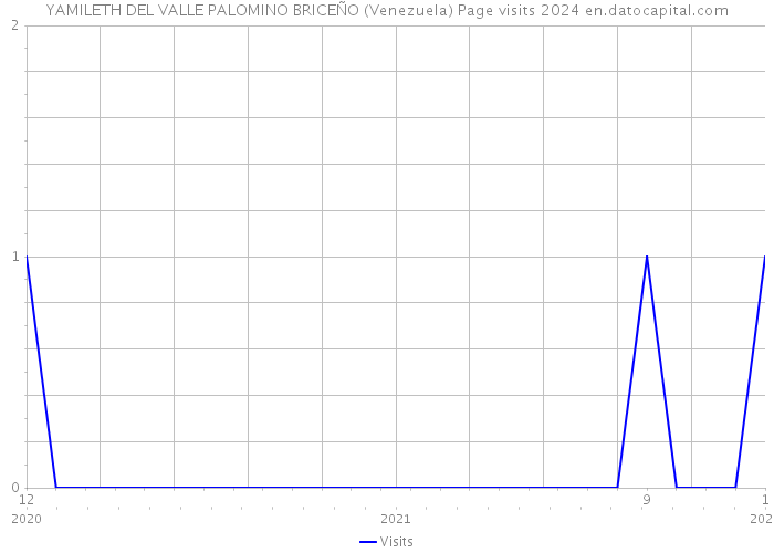 YAMILETH DEL VALLE PALOMINO BRICEÑO (Venezuela) Page visits 2024 