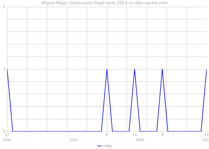 Miguel Mago (Venezuela) Page visits 2024 