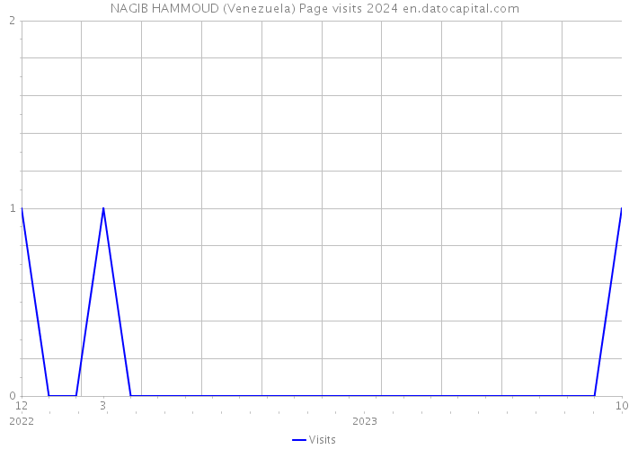 NAGIB HAMMOUD (Venezuela) Page visits 2024 