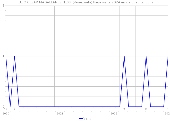 JULIO CESAR MAGALLANES NESSI (Venezuela) Page visits 2024 