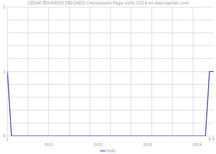 CESAR EDUARDO DELGADO (Venezuela) Page visits 2024 