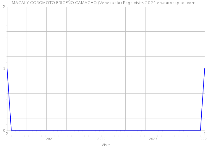 MAGALY COROMOTO BRICEÑO CAMACHO (Venezuela) Page visits 2024 