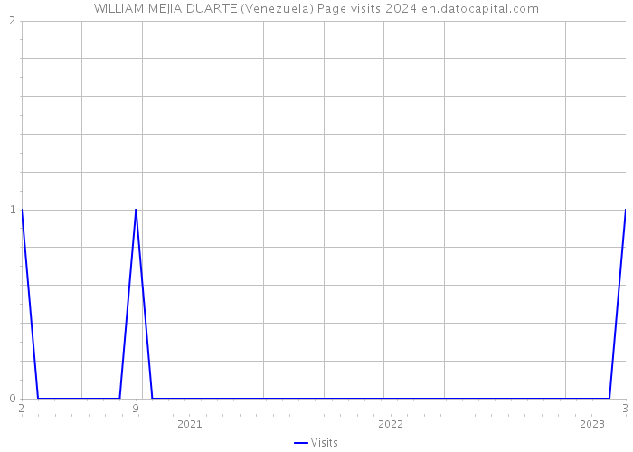 WILLIAM MEJIA DUARTE (Venezuela) Page visits 2024 