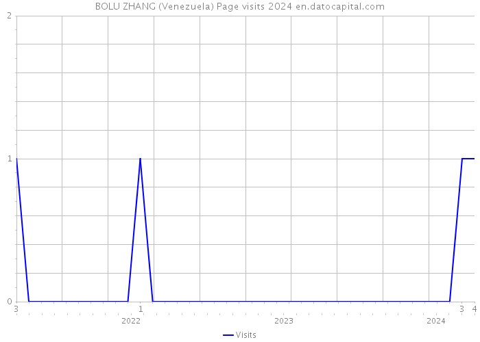BOLU ZHANG (Venezuela) Page visits 2024 