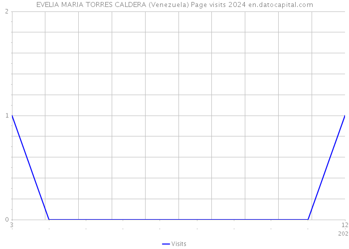 EVELIA MARIA TORRES CALDERA (Venezuela) Page visits 2024 